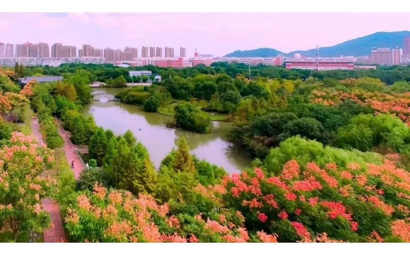 【公園景區(qū)IP網(wǎng)絡(luò)廣播】系統(tǒng)解決方案