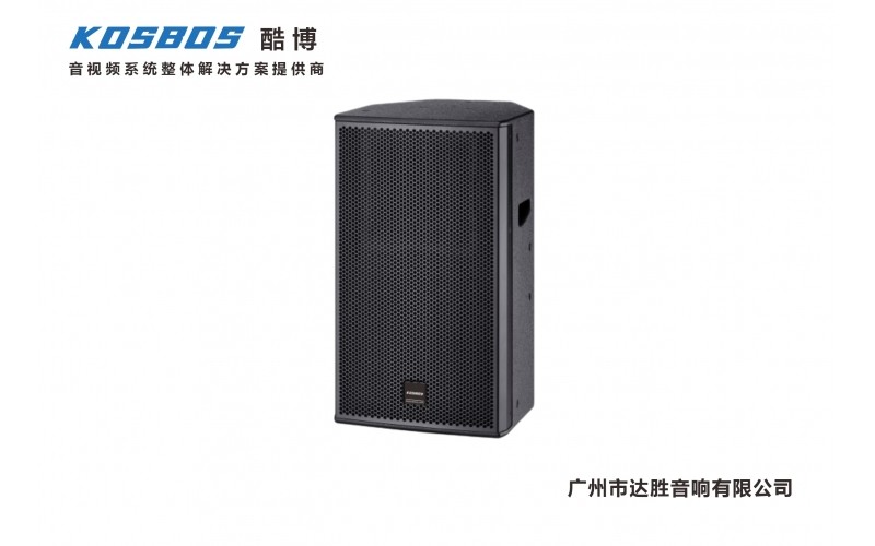 DS系列專業(yè)音箱